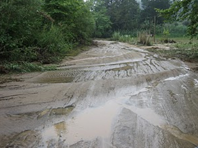 Βρέθηκε νεκρή η αγνοούμενη